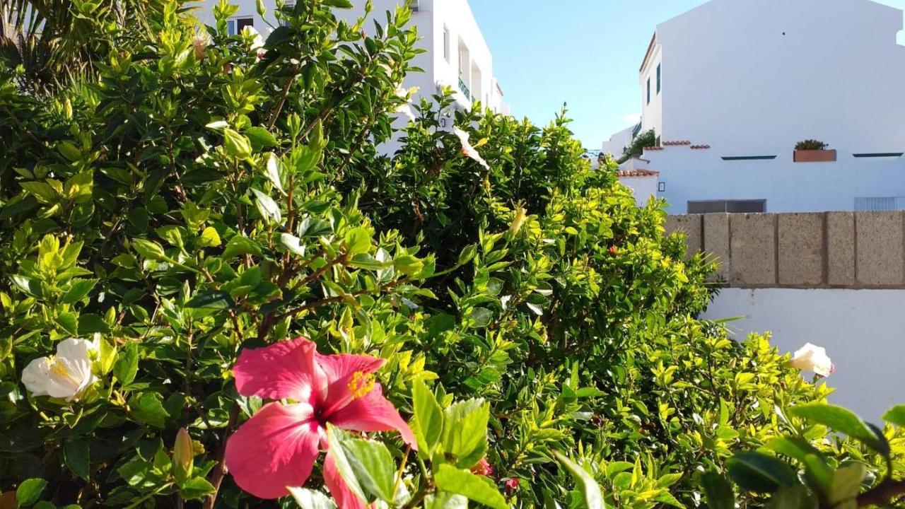 Parque Don Jose, Casa Antonella Costa Del Silencio Exterior foto